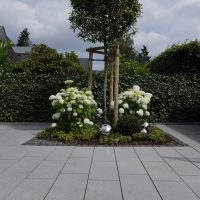 Neugestaltung Garten Feng Shui | Pflanzinsel mit Hortensien im Vorgarten