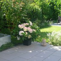 Schattige, kleine Terrasse mit Quellstein. Hortensien und weißer Lavendel im Beet und im Hintergrund durch Sträucher geschützer Sonnenplatz mit Liege.