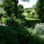 Umgestaltung Cottage Garten mit Baumbestand