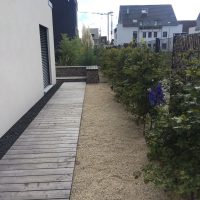 Gartenweg aus Holz, Kiesbett mit Bepflanzung von Hainbuchen an modernem Metallzaun und Gabionen - Zaunelementen.