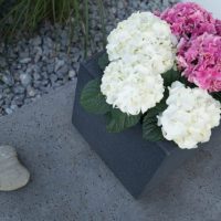 Modernes Pflanzgefäss mit Hortensien in weiß und pink. Steinernes Herz auf einem Block aus Beton.