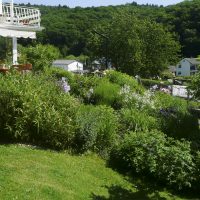Kleiner Hang von der Terrasse in den umgestalteten Garten. Blühende Stauden und Büsche.