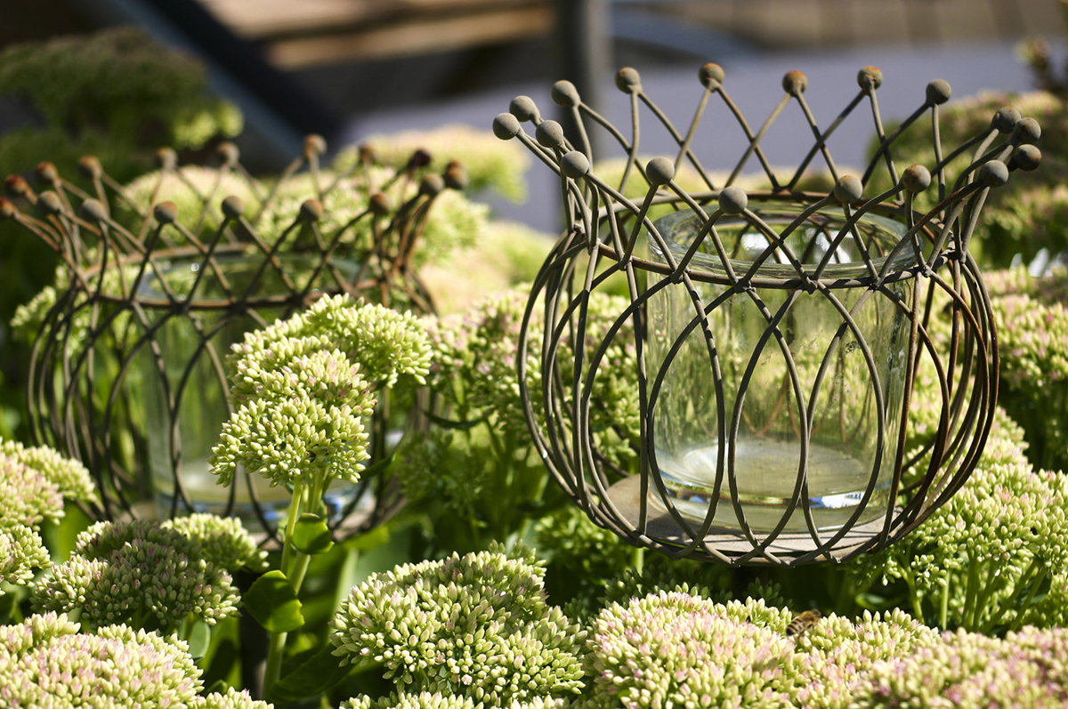 Gartendekoration | Gartenlicht aus Metall | Fetthenne | Moderner Familiengarten in Bruchköbel | Neugestaltung Planungsbüro Blum - Scherer