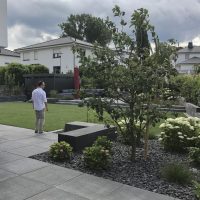 Neu gestalteter Garten, geplant in modernem Gartendesign. Die Terrasse und der Sitzplatz mit großen Steinplatten in Beton-Optik, die Schotterbeete bepflanzt mit Hortensien und Ziergras.