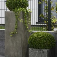 Pflanzsäulen in neu gestaltetem Vorgarten in modernem Design, bepflanzt mit rund geschnittenem Buchsbaum und Efeu.