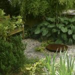Holzbank und Wasserspiel aus flachem Stein im Kiesbeet des neu gestalteten Innenhofs, bepflanzt mit Buchs, Rhododendron und Funkien unter einer Weide