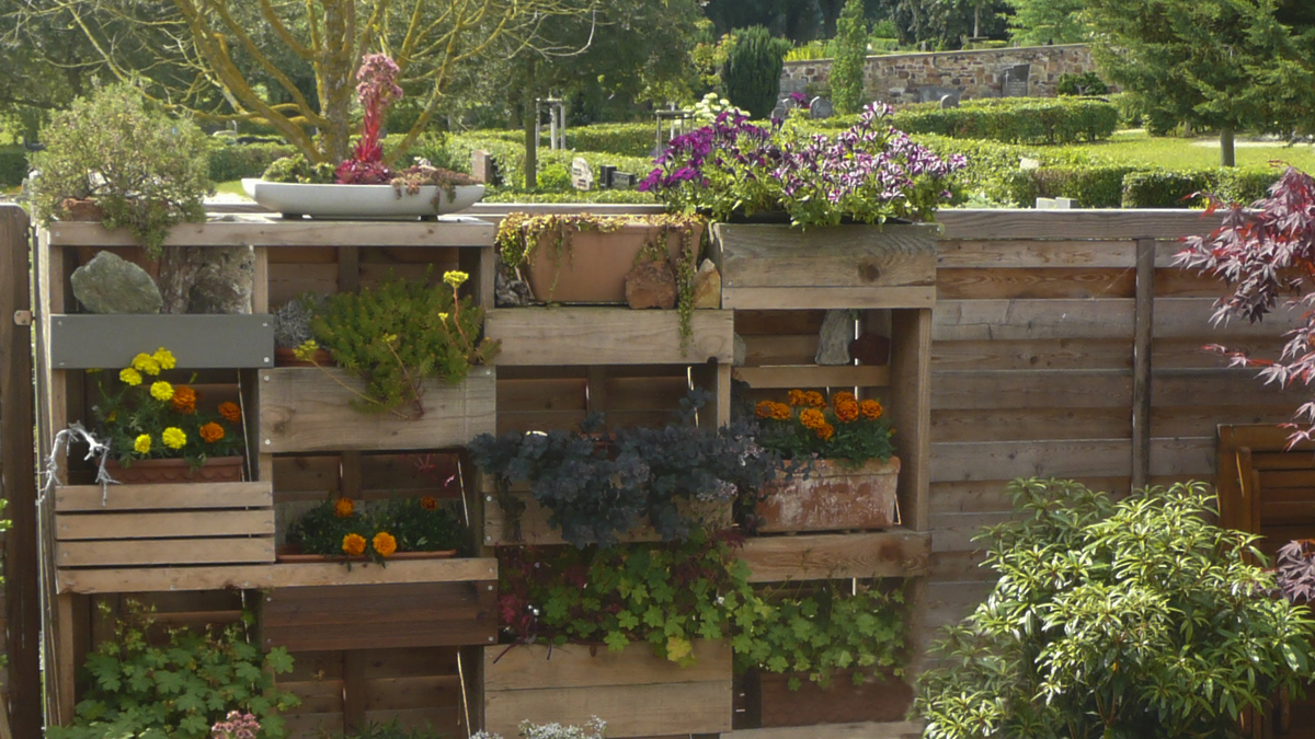 Neu gestalteter Vertikaler Garten. Abstellflächen mit verschiedenen Pflanzgefäßen, mit einjährigen Blühern wie Tagetes und Dachwurz.