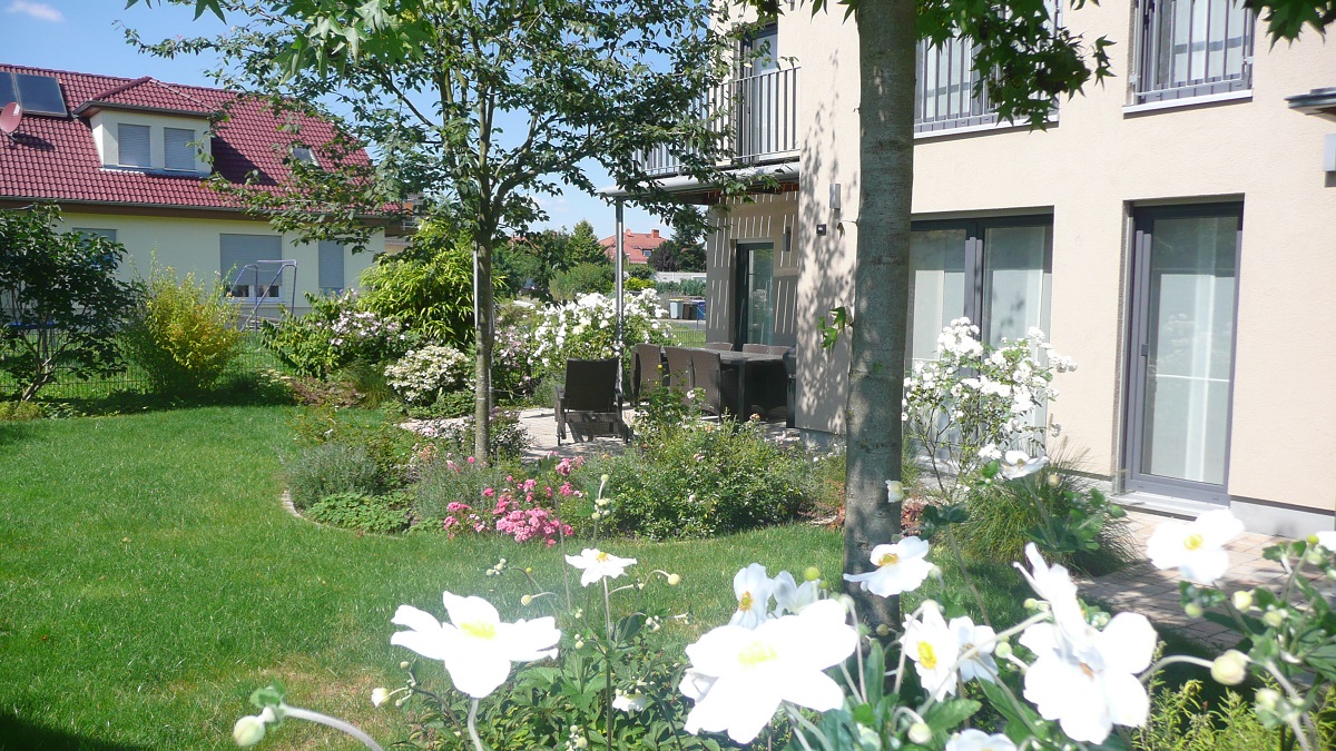 Neugestaltung Familiengarten in Bruchköbel. Rasen, Terrasse und bunte Staudenbeete.