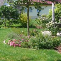 Neugestaltung Familiengarten in Bruchköbel. Bunte Staudenbeete und Rasen.