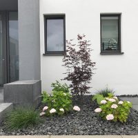 Moderner Vorgarten - Neuplanung und Gestaltung. Japanischer Ahorn, Hortensien, Ziergräser in Schotterbett.