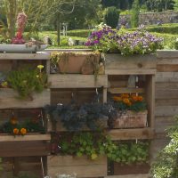 Vertikaler Garten aus Holz, Stellflächen für Pflanzgefäße mit einjährigen Blühern, Dachwurz.