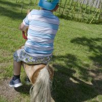 Aussenanlage Spielplatz - Junge auf Holzpferd - Kindergarten Gelnhausen