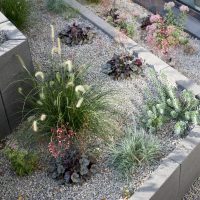 Gartenplanung eines modernen Gartens in Bad Homburg - Versunkener Garten, mit Rinnit Mauperplatten terrassiert, die Kiesbeete mit Ziergras, Sukkulenten und Purpurglöckchen (Heuchera) bepflanzt.