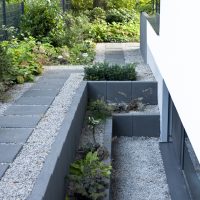 Moderne Gartenplanung in Bad Homburg - Gartenweg mit Trittplatten in Kiesbett an neu gestaltetem Lichtschacht, bepflanzt mit Schattengewächsen.