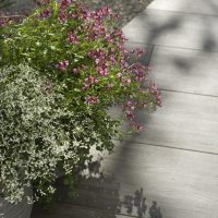 Gartendekoration Topfpflanze auf der Terrasse