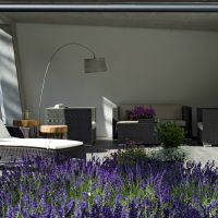 Überdachte Terrasse modern, Lavendel im Beet