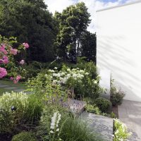 Modernes Gartendesign, neu geplant und gestaltet; mit Staudenbeet in weiß, rosa und violett. Große Rinnit-Trittplatten / -Stufen von der Terrasse durch das Beet.