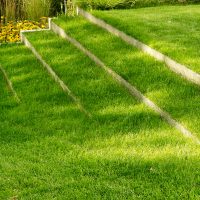 Gartenplanung | Moderner Garten | Rasenstufen und Randbepflanzung