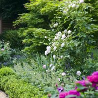Gartendesign | Klassischer Garten | Rosenbeet, Buchsbaum, Bienenhotel
