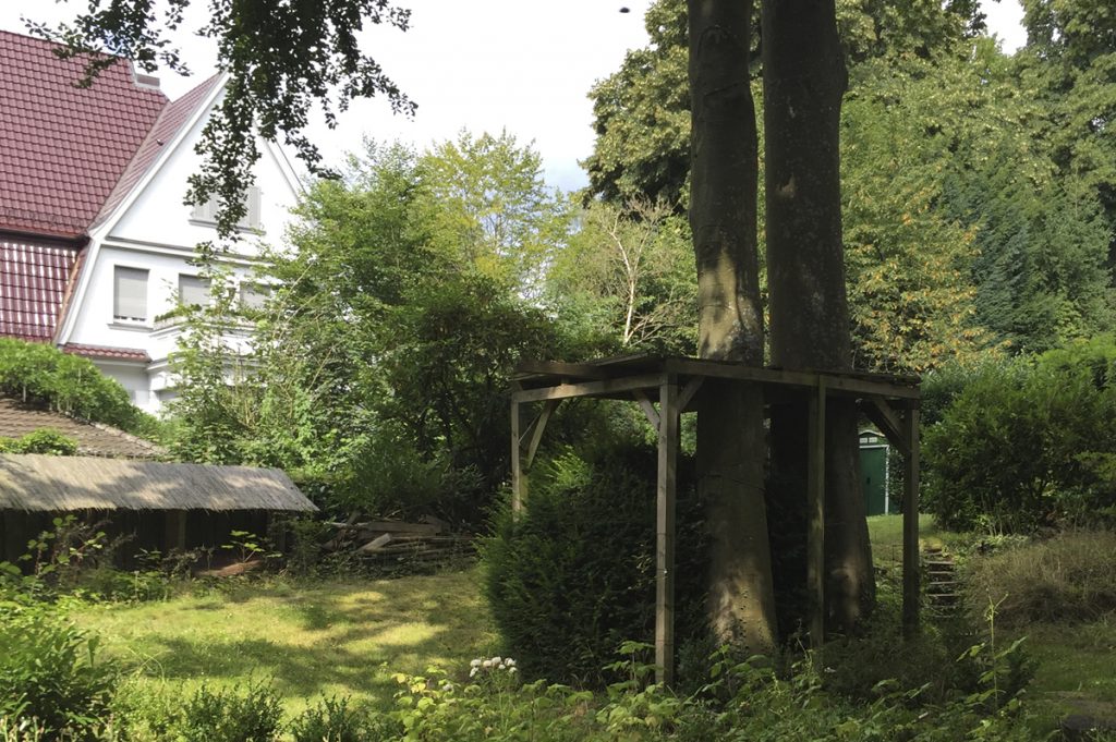 Garten Vorher - Verwahrloste Fläche und alter Baumbestand