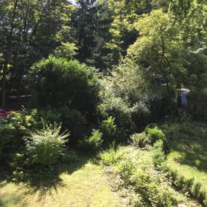 Garten Vorher - Vernachlässigte Fläche mit Hecken