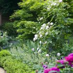 Garten Nachher - Rosen und Stauenbeet, Bienenhotel