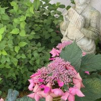 Gartenkunst - Steinfigur Pan in Staudenbeet mit Hortensien