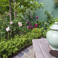 Klassisches Gartendesign nach der Neugestaltung mit Inselbeeten, zart rosa blühende Rosen und dunkle Pfingstrosen umgeben von Buchs, Sitzplatz mit Vase als Gartendekoration auf Beistelltisch aus Holz.