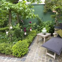 Neues Gartendesign in klassischem Garten mit Inselbeeten, hier umrahmt von Buchs, mit Rosen und Ahorn. Der Platz für die Sonnenliege vor einem Beet von Hortensien. Der Boden ist gepflastert.