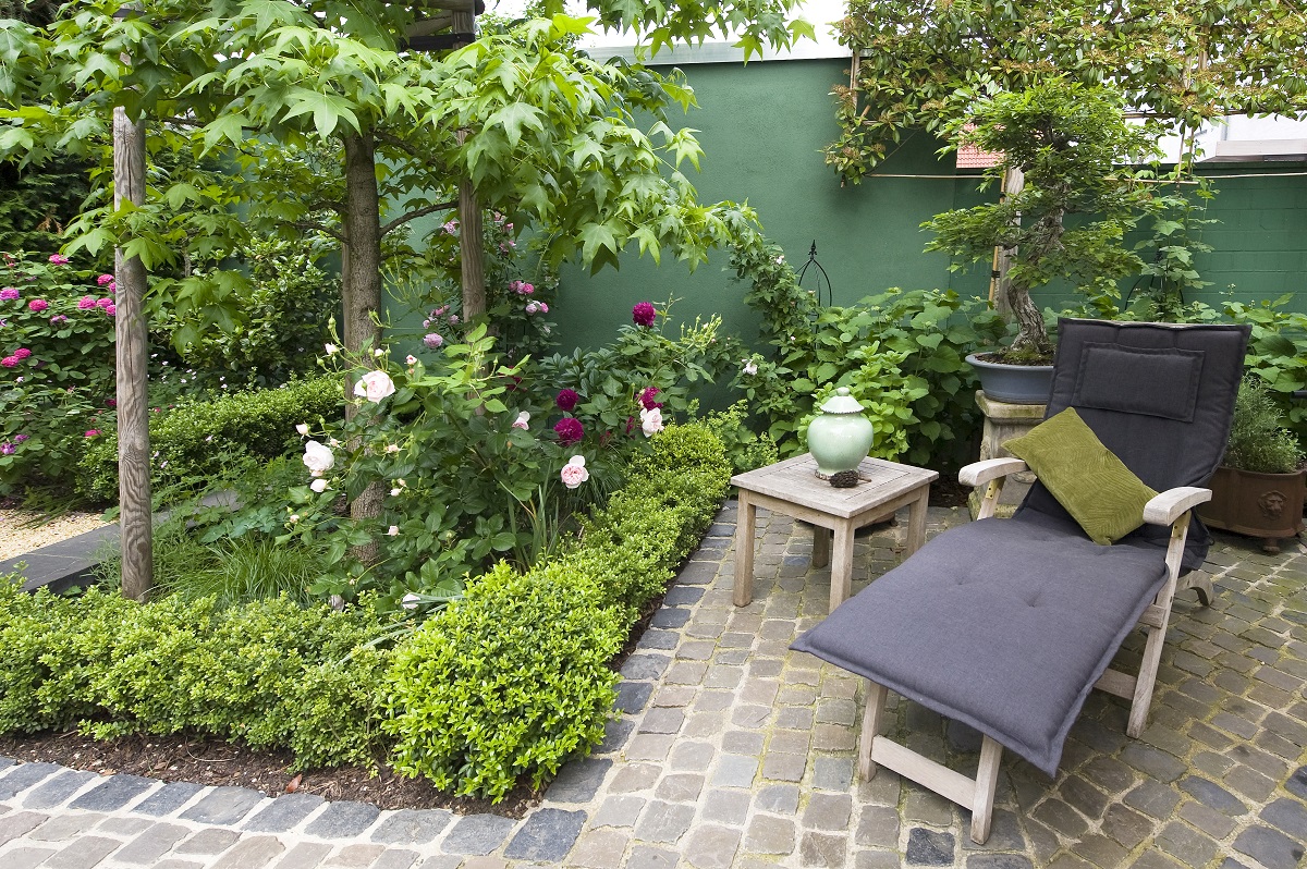 Neues Gartendesign in klassischem Garten mit Inselbeeten, hier umrahmt von Buchs, mit Rosen und Ahorn. Der Platz für die Sonnenliege vor einem Beet von Hortensien. Der Boden ist gepflastert.