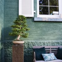Gartengestaltung, Sitzecke mit Holzbank und Bonsai auf Natursteinquader