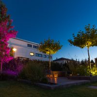 Nachtansicht der beleuchteten Lounge Ecke, bepflanzt mit Hortensien, Ziergräser und diversen Bäumen wie Dachplatanen.