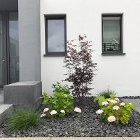 Modern gestaltetes Schotterbeet in Vorgarten, bepflanzt mit Hortensien, Ziergras und kleinem Ahorn.